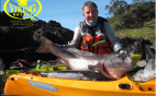 Kayak fishing for NZ Groper / Hapuku